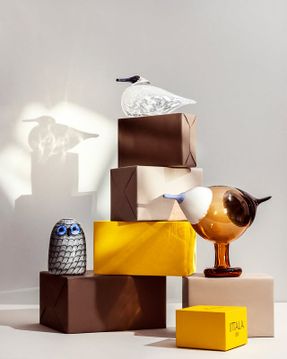 Iittala Snow Finch 175x70 Mm Decor