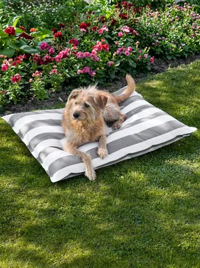 Miacara Giardino Dog Cushion Slim Outdoor