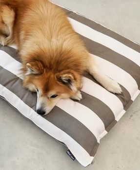 Miacara Giardino Dog Cushion Slim Outdoor