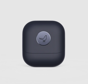 libratone AIR+(2nd Gen) ANC True Wireless Earbuds (B-Stock)
