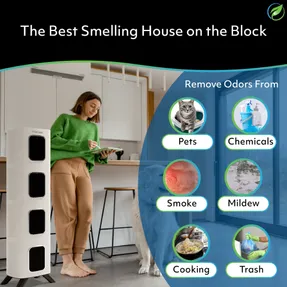 Airoasis Iadaptair 2.0 - Pro Air Purifier