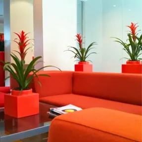 Serralunga Nell’orto Plants Pot