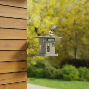 Umbra Bird Cafe Bird Feeders