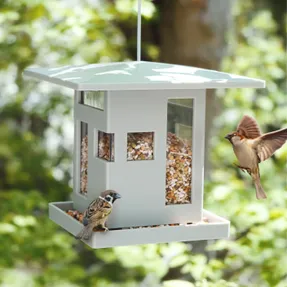 Umbra Bird Cafe Bird Feeders