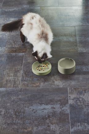 Miacara Fresco Cat Bow