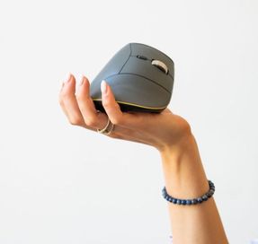Posturite Bakkerelkhuizen Fastforward Vertical Mouse