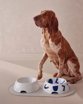 Alessi Always Pet Yuzuki Crack Dog Bowl