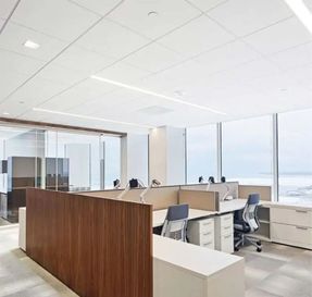 Apton Lay In Ceiling AP 101
