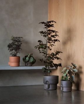 northern Oasis Flowerpot Large