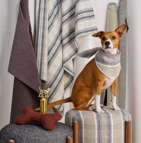 HBF Textiles Haberdash Fabric