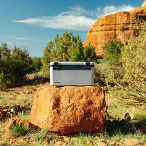 Dometic Recon Hardside 69L Ice Cooler