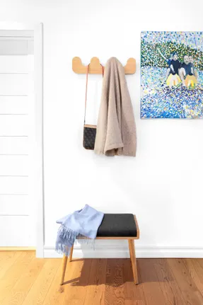 Radis Wall Clothes Rack Drift