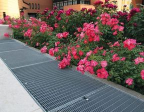 Baldassar Pressed Grating