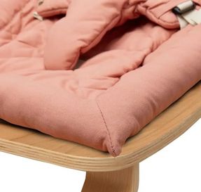 Charlie Crane Seat For Levo Baby Rocker Cushio
