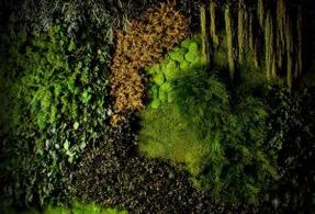 Greenmood Forest Acoustic Green Wall