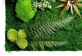 Greenmood Forest Acoustic Green Wall