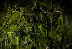 Greenmood Forest Acoustic Green Wall