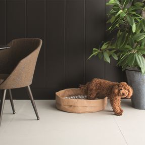 Limac Design Fine Bed For Dogs And Cats Tommy
