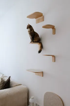 Miacara Parete Climbing Step