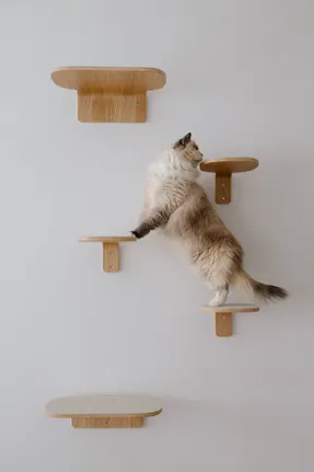 Miacara Parete Climbing Step