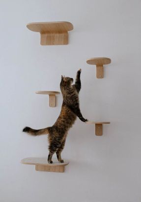 Miacara Parete Climbing Step