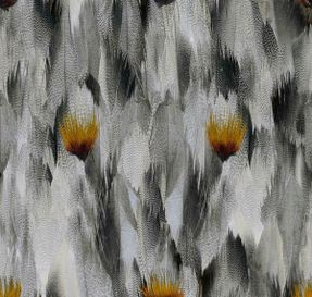 Mineheart Natural Feathers Grey And Orange Wallpaper