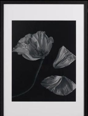 Boconcept Flora 2 Photo Art