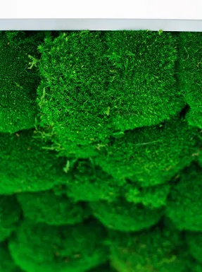Greenmood Ball Moss Acoustic Green Wall