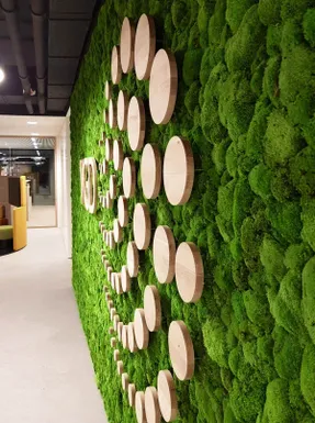 Greenmood Ball Moss Acoustic Green Wall