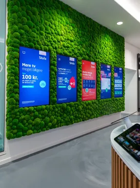 Greenmood Ball Moss Acoustic Green Wall