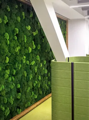 Greenmood Ball Moss Acoustic Green Wall