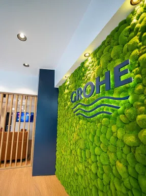 Greenmood Ball Moss Acoustic Green Wall