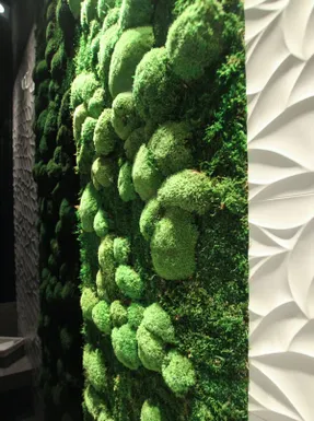Greenmood Ball Moss Acoustic Green Wall
