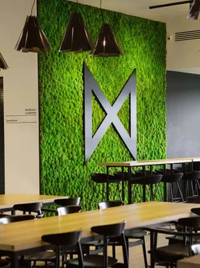 Greenmood Ball Moss Acoustic Green Wall
