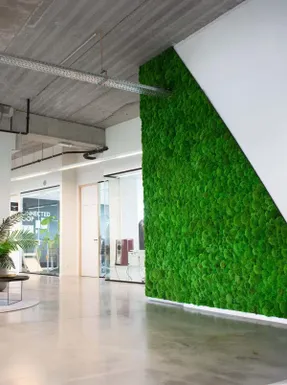 Greenmood Ball Moss Acoustic Green Wall