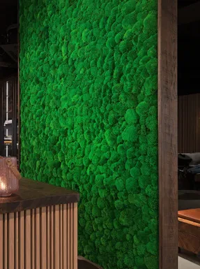 Greenmood Ball Moss Acoustic Green Wall