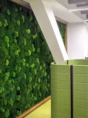 Greenmood Ball Moss Acoustic Green Wall