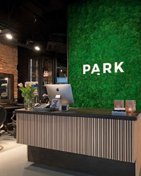 Greenmood Ball Moss Acoustic Green Wall