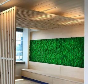 Greenmood Ball Moss Acoustic Green Wall