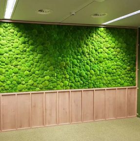 Greenmood Ball Moss Acoustic Green Wall