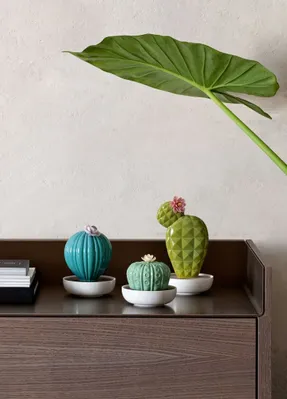 Lladro Ferocactus Cactus Diffuser. Gardens Of Valencia Scent