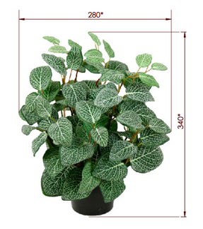 Gotessons Fittonia 340 Artifical Plants