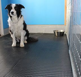 Watco Floors K9 Comfort Matting