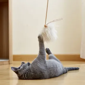 Miacara Topo Cat Toy