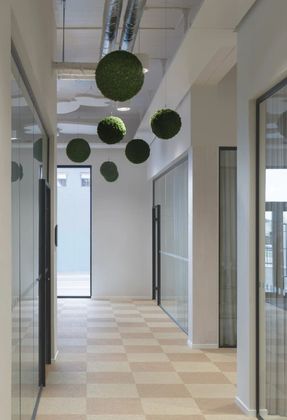 Nordgrona Cloudberry Decor