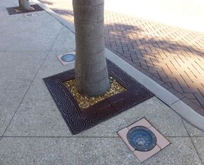 Ironagegrates Argo Tree Grates
