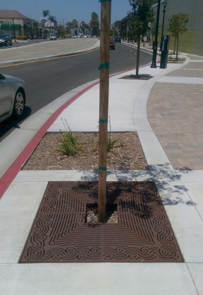 Ironagegrates Argo Tree Grates