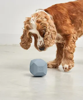 Miacara Dado Activity Toy