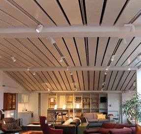 Apton Linear Strip Ceiling AP 103