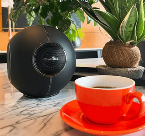Cabasse The Pearl Myuki Speaker